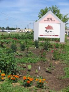 Office Gardens: Organic Fun for Your Employees! Image